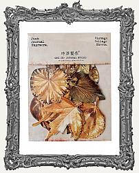Die Cut Cardstock Ephemera - Pack of 10 - Autumn Foliage