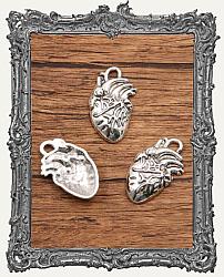 Silver Anatomical Heart Charm - 1 Piece