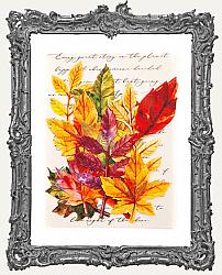 Prima Marketing Mulberry Paper Flower Leaf Embellishments - Fall Solstice