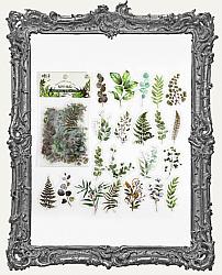 Clear Die Cut Floral Stickers - Pack of 40 - Ferns and Foliage