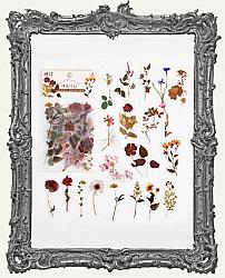Clear Die Cut Floral Stickers - Pack of 40 - Natural Pressed Flowers