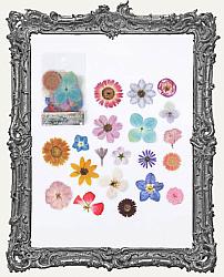 Clear Die Cut Floral Stickers - Pack of 40 - Colorful Blooms