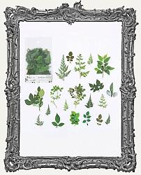 Clear Die Cut Floral Stickers - Pack of 40 - Greenery