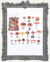 Clear Die Cut Floral Stickers - Pack of 40 - Mushrooms Style 2
