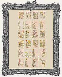 Vintage Reproduction Deckled Edge Washi Paper Pack - 24 Sheets - Antique Florals