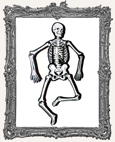Articulated Anatomy Art Doll Shrine Kit - LARGE Vintage Skeleton