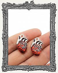 Enameled Metal Anatomical Heart Charms - Set of 2