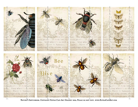 Nature's Sketchbook ATC Size Collage Sheet - SC9
