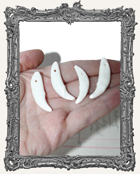 Natural Coyote Teeth with Drilled Holes - 4 Pieces