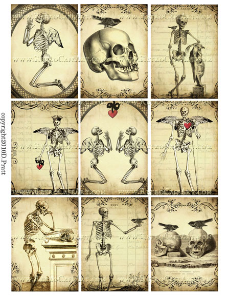 ATC Size Skeleton Collage Sheet by Debrina Pratt - DP137