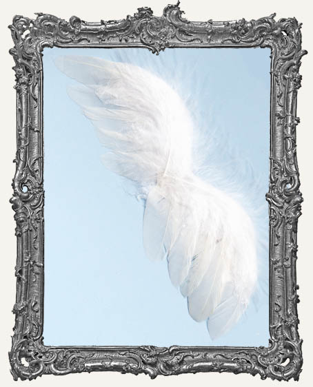 White Feather Angel Wings