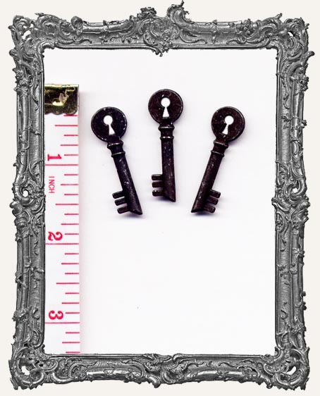 Rusty Metal Small KEYHOLE Skeleton Keys SET OF 3