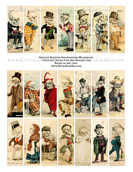 Antique Skeleton Illustrations Microslides Collage Sheet