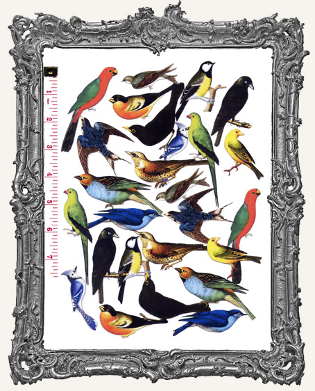 24 Bird Paper Cuts