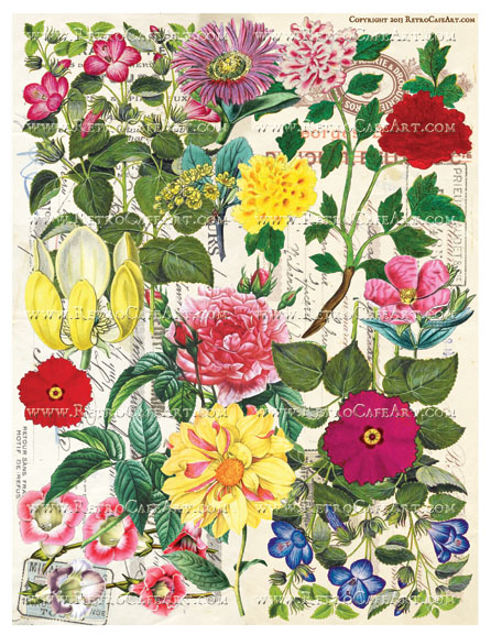 Wild Flower Background Collage Sheet - Classic